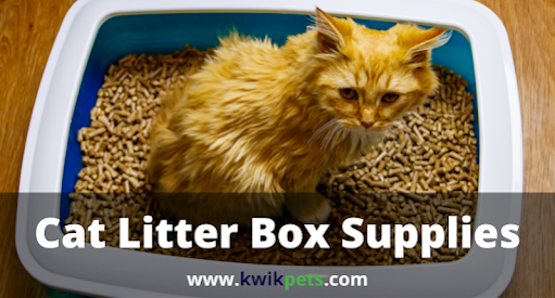 cat litter box supplies
