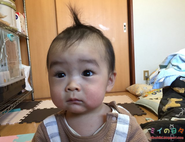 赤ちゃんの髪の毛の推移 生後０日 生後１１ヶ月現在まで ミイの日々