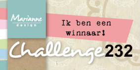 Winnaar bij Marianne Design!