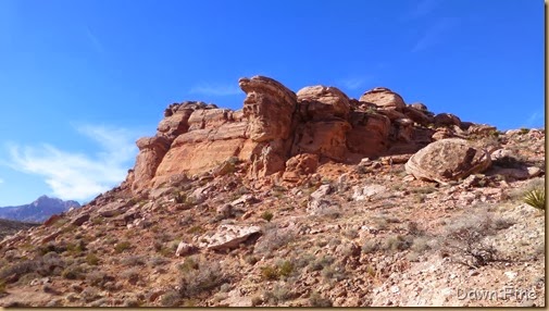 Calico hike_002