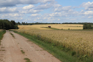maastik Mäeselja lähedal