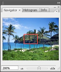 gambar palet navigator photoshop 4