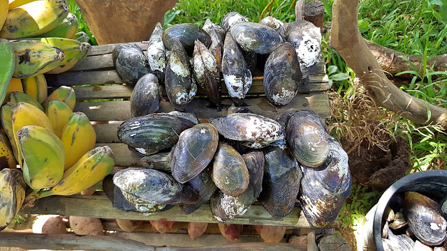 bananas, sweet potatoes and clams for cooking at Lake Danao, Ormoc