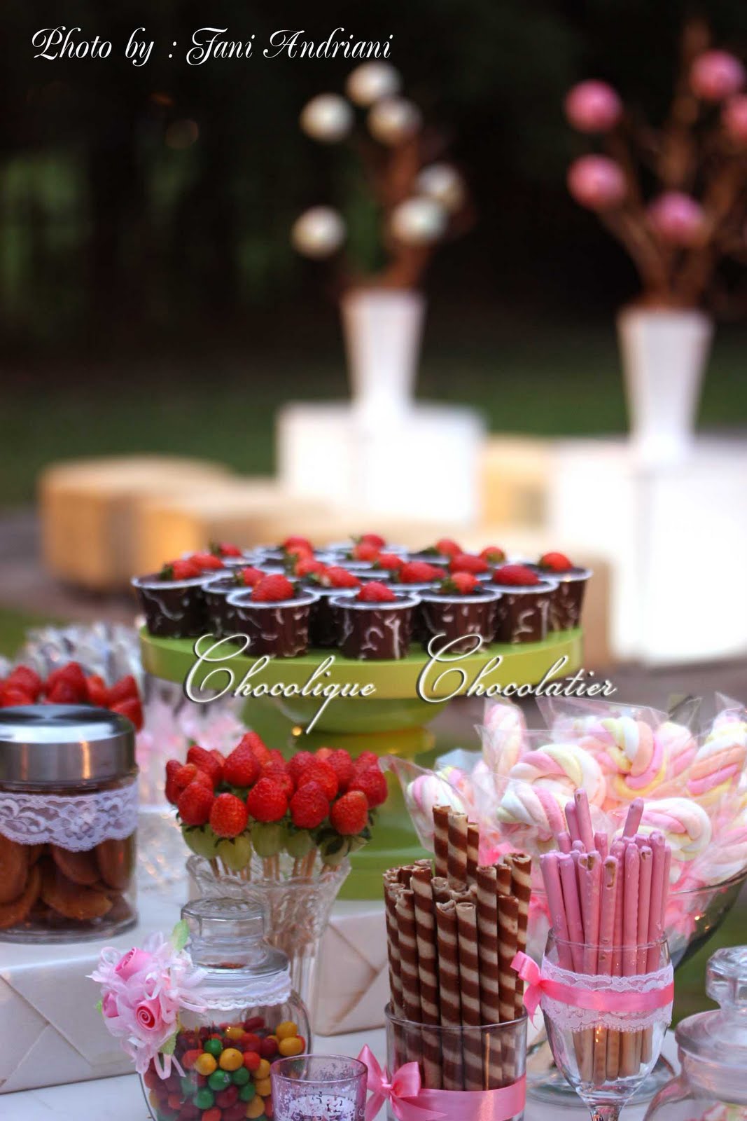 Candy Bar for Hans & Uvicks