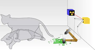 Schrödinger’s cat paradox, explained