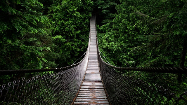 photo de couverture grand pont suspendu