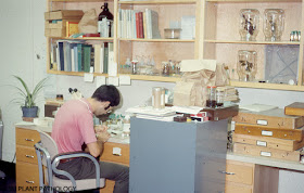 David Stephan writing among insect specimens. August 1973.
