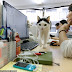 Une entreprise japonaise adopte des chats abandonnés pour réduire le stress au travail