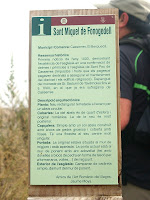 Informació de Sant Miquel de Fonogedell