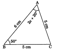 Triangle MCQ Class 9 