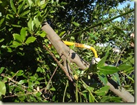 sawing bay 1_1_1