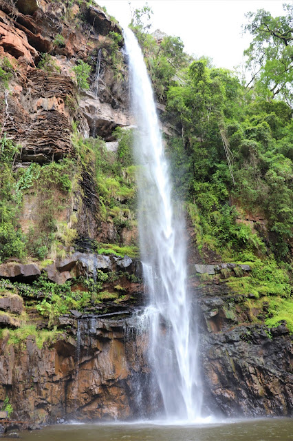 Not so alone at Lone Creek Falls #Sabie #SouthAfrica #PhotoYatra #TheLifesWayCaptures