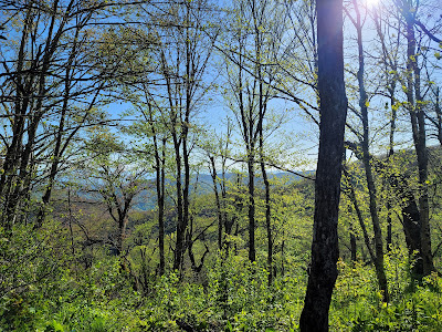 Appalachian Trail North Carolina