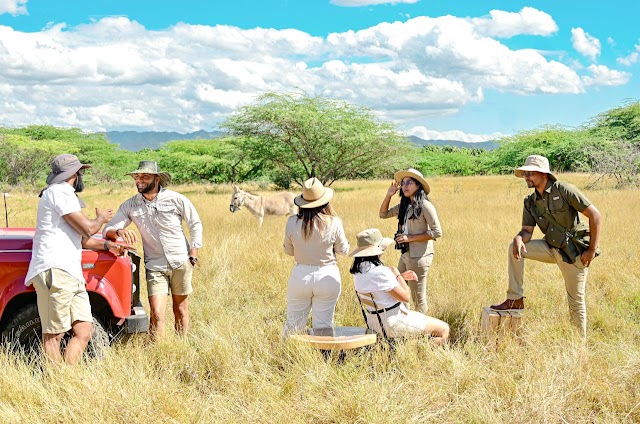 Safari se estrena en nueva temporada de Tierra Tropical en marzo 2024