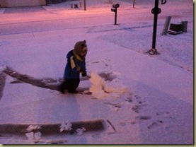shovel 1