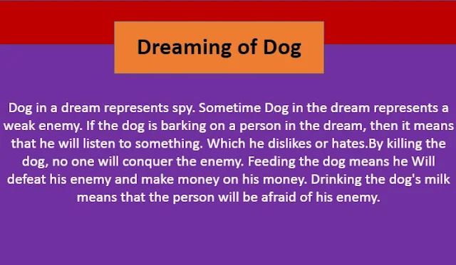 khwab mein kutta dekhna,khwab mein kutta dekhna ki tabeer,ک,dreaming of dog,