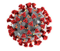 what is the coronavirus