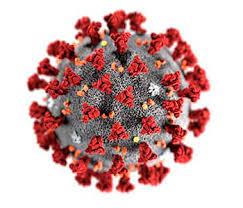 what is the coronavirus | stylebuzs