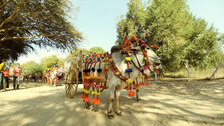 Du lịch Bargan Myanmar - Người Áo Lam