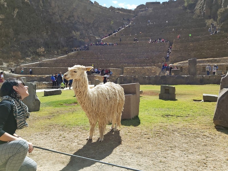 Vale Sagrado Cusco