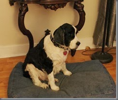 IMG_1925 - Copy
