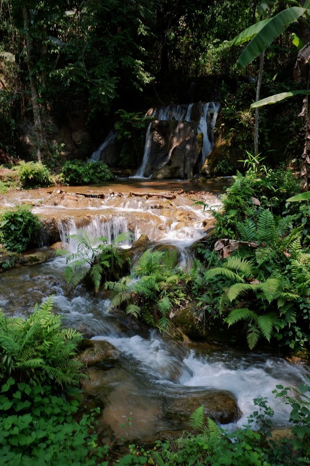 doi phahom pok national park, doi pha hom pok national park, doi phahom pok, doi pha hom pok, phahom pok national park, pha hom pok national park