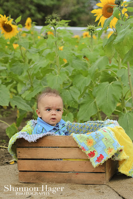 okinawa baby photographer, shannon hager photography, sunflower fields
