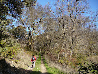 Camino del Cid. Salida de Pinilla de Jadraque