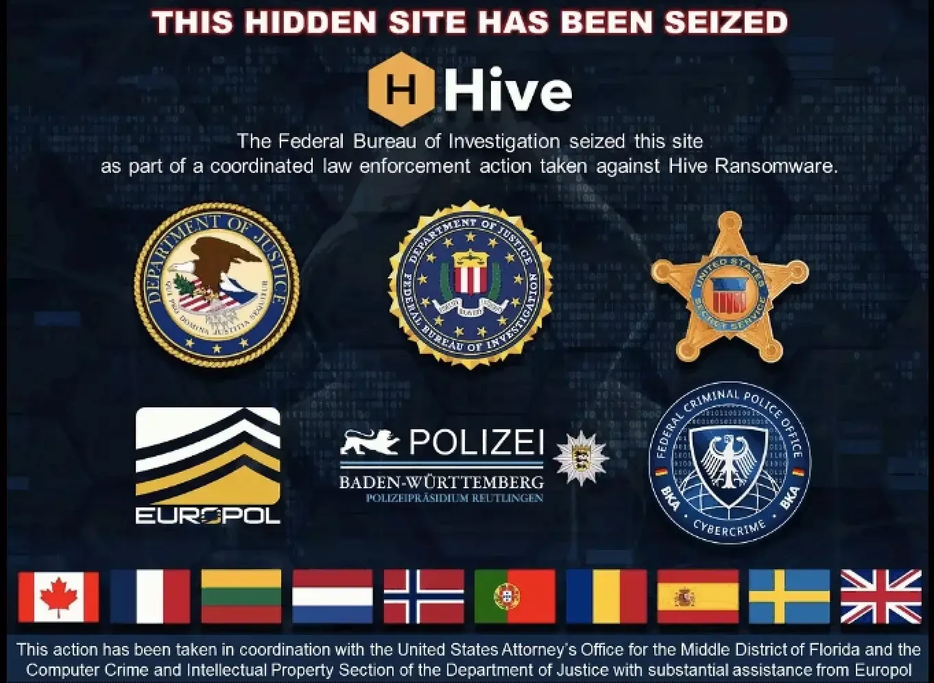 Hive Server Seized by FBI