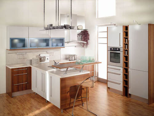 Small Kitchen Design Ideas 2012  Home Interior Designs 