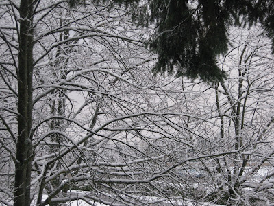 Nanaimo's First Snow of 2010
