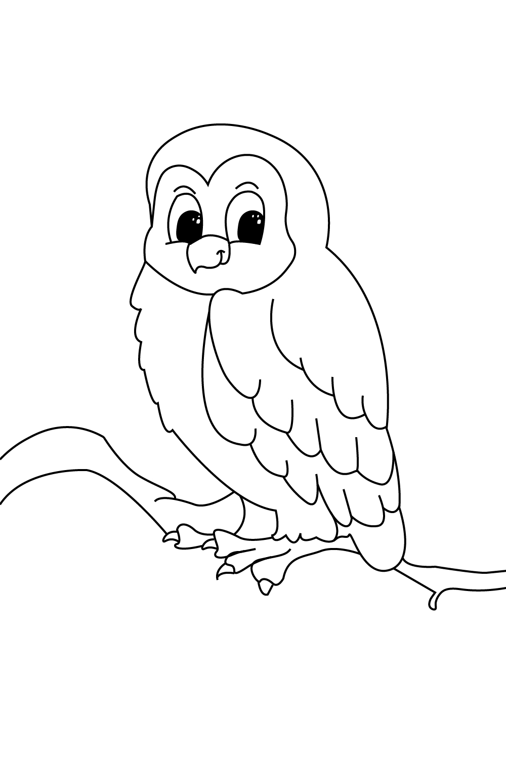 baykuş resmi boyama sayfası hayvan okul öncesi