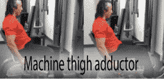 Machine thigh adductor