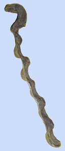 MONOSA  LOTA / NAG  LOTA