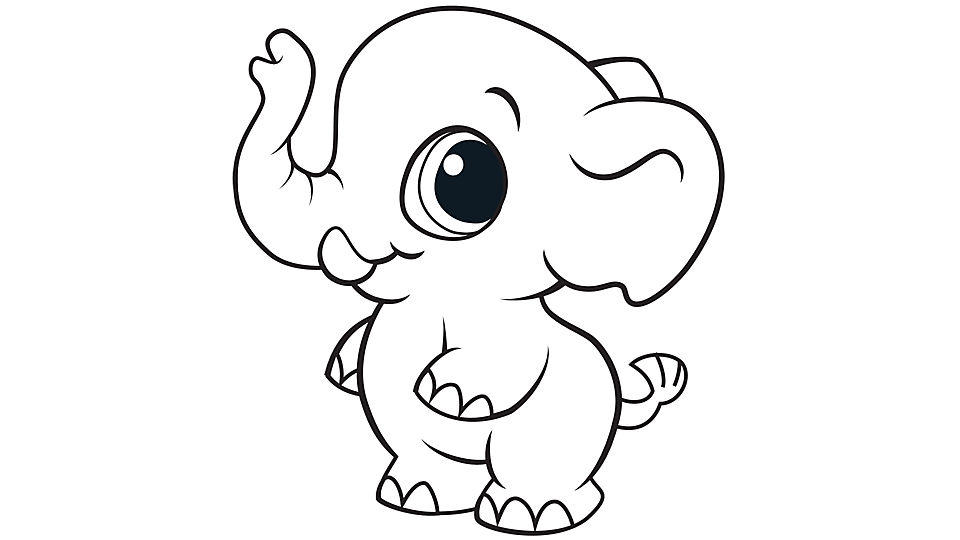 Coloring Pages For Animals: Elephant Big Animals Coloring Pages