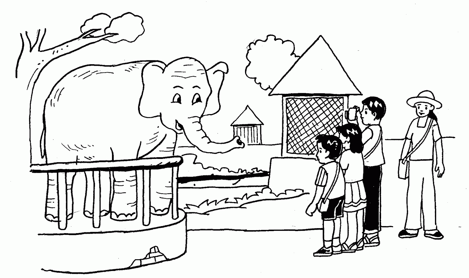 Sketsa mewarnai gambar kebun binatang - Dunia Putra Putri