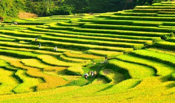 Tour Giáng sinh và Tết dương lịch 2021