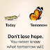 Don't lose hope | Motivationalqoutes | KofiChallenge | Vocationalverse