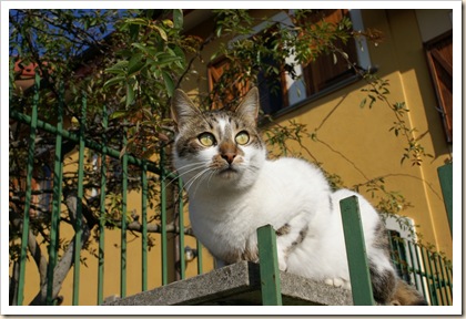 Chi scruta lorizzonte