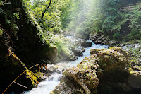 Wilderness Stream - Photo by Eugene Kuznetsov on Unsplash