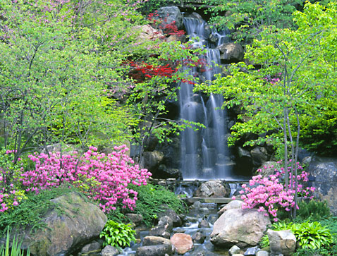 Japanese gardens