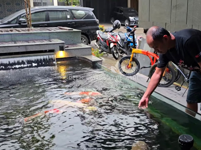 Tukang Kolam Koi Rembang - Jasa Pembuatan Kolam Ikan Minimalis