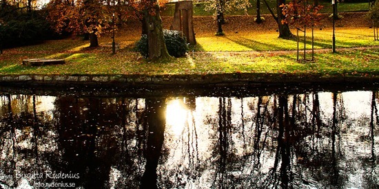 boras_20111029_parkdamm
