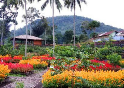 tempat wisata di lubuklinggau