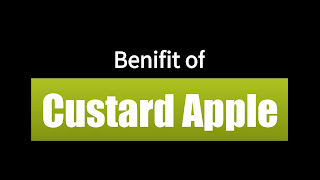 health benefits of custard apple fruit in hindi   सीताफल का सेवन करने से क्या-क्या फायदे मिलते हैं! 