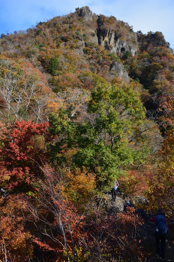 奥久慈男体山から鷹取岩手前の紅葉状況 せとなの山日記