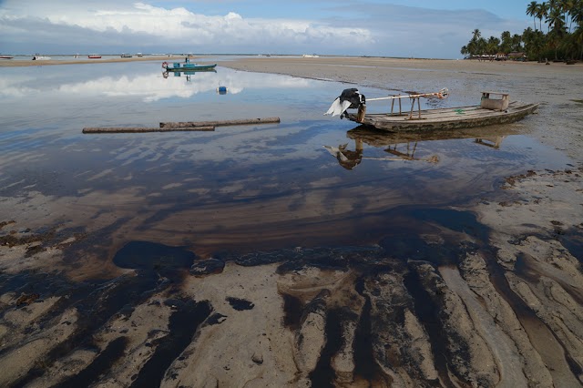 Governo do Estado retira 20 toneladas de óleo de praias do litoral pernambucano