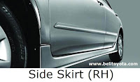 Side Skirt (RH)