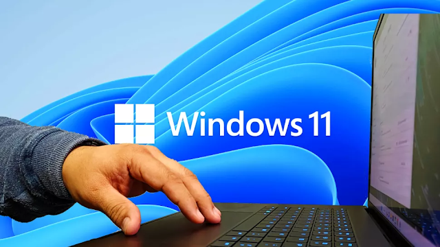 Hướng dẫn custom touchpad trên Windows 11