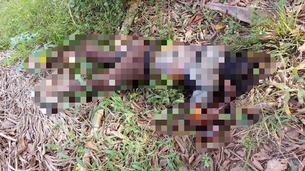 Cekcok, Siswa SMK Dibunuh dan Dirampok Temannya Sendiri, Mayatnya Dibuang di Perladangan